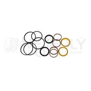 Sada těsnění CARRARO 930152