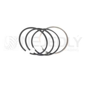 Sada pístních kroužků 102mm 4kr 50110096