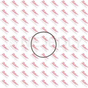 Kroužek  CA (P) 930281 ZETOR