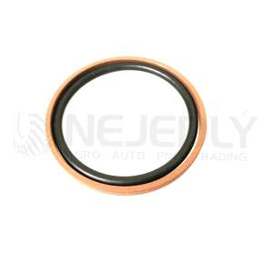 Těsnění pístu 70118061