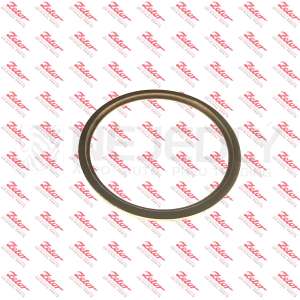 Těsnící kroužek (Pw,Fx) 934073 ZETOR