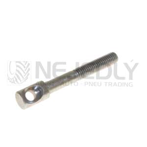 Šroub závěsu 53236036