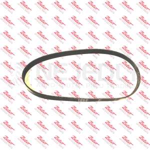 Plochý řemen drážkovaný DZ4V (Md) 50901906 ZETOR