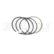 Sada pístních kroužků 102mm 4kr 50110096
