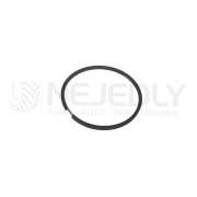 Kroužek pístní 100x5 59010391