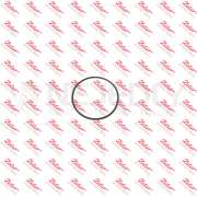 Těsnění filtru hydrauliky Zetor (P+) 933244 ZETOR