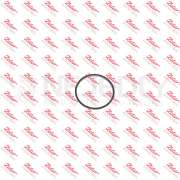 XX - Kroužek 52433019 ZETOR