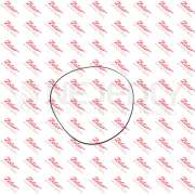 Kroužek CAN (M) 934766 ZETOR - 930213