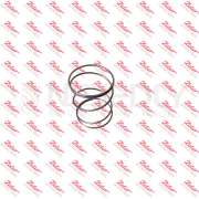 Pružina 1 67112209 ZETOR