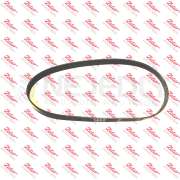 Plochý řemen drážkovaný DZ4V (Md) 50901906 ZETOR