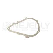 Těsnění víka regulátoru Z25