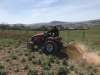 Traktory TYM T265 (25 HP)